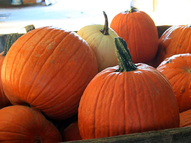market-fall-pumpkins