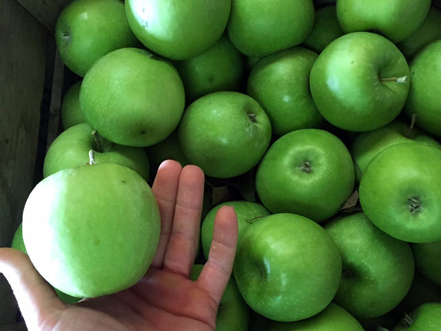 market-green-apples