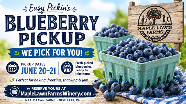 Blueberry Pickup 2026