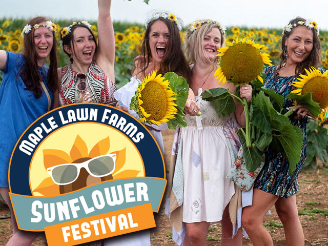 Women posing for photo ops with sunflowers at the PA Sunflower Festival at Maple Lawn Farms (York County, PA)