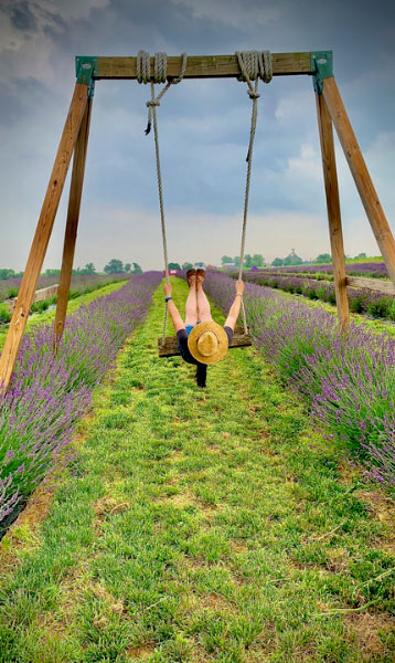 Girl on swing in lavender field photo op at Lavender Festival - Maple Lawn Farms (York County, PA)