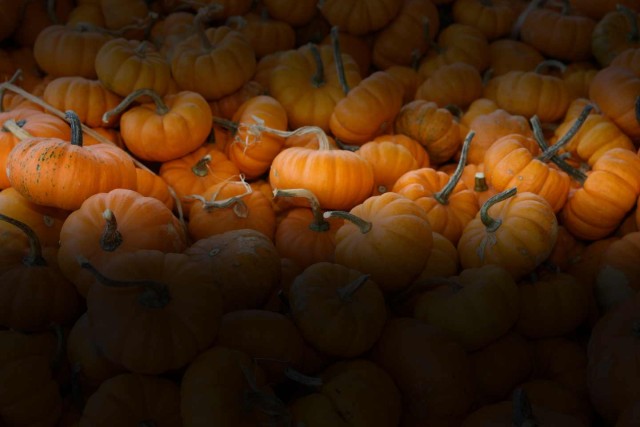 Slider – Pumpkins