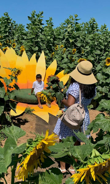 Sunflower Festival Photo Ops - Giant Sunflower