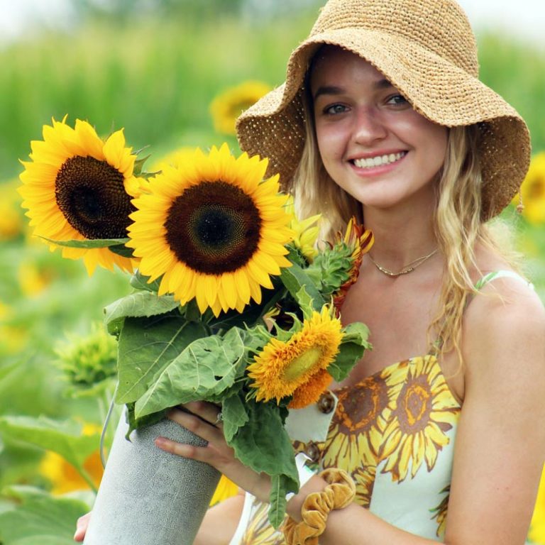6th Annual Sunflower Festival! Maple Lawn Farms
